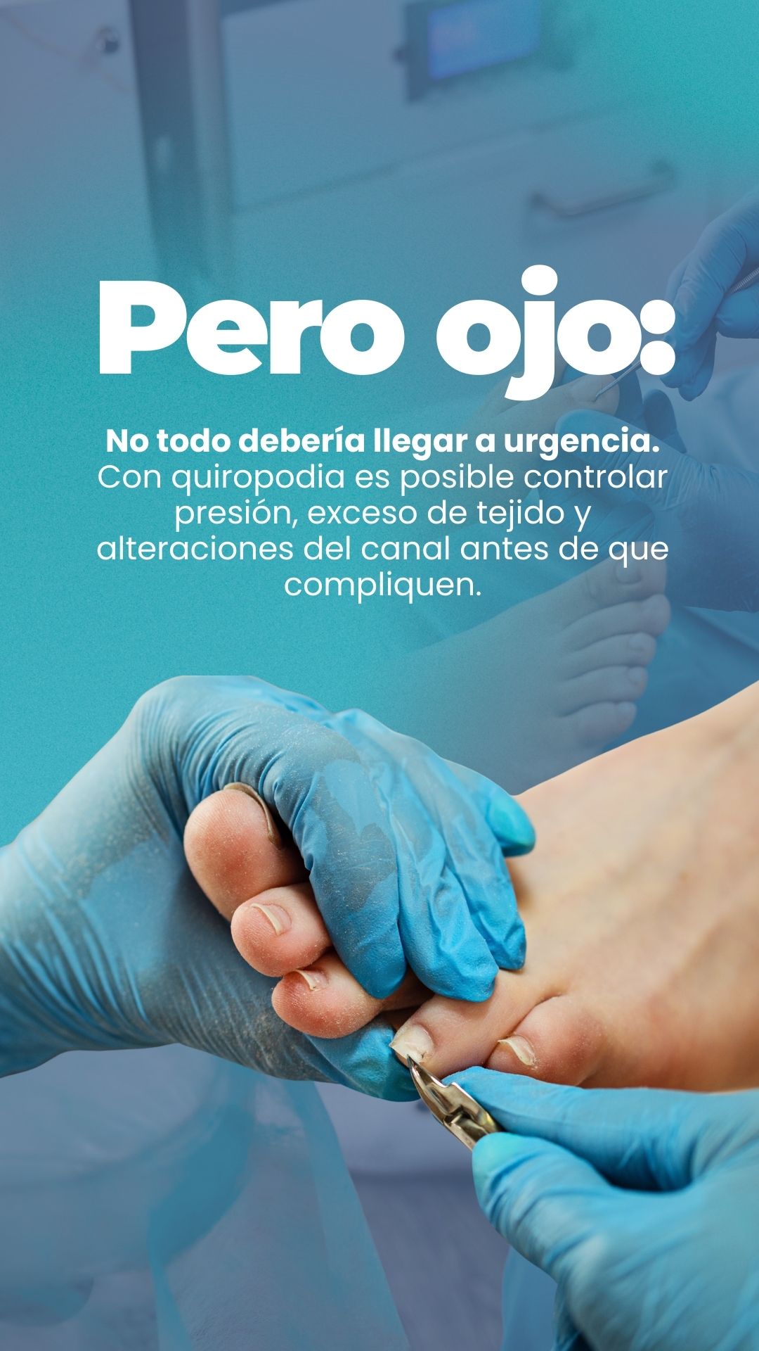 Contenido Social